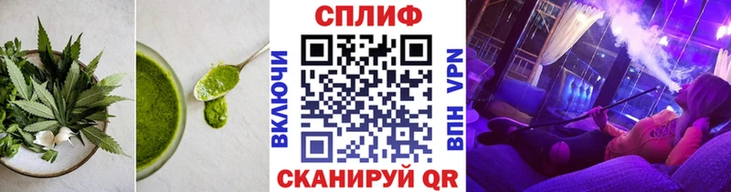 Купить где  Сураж  Cannafood конопля 