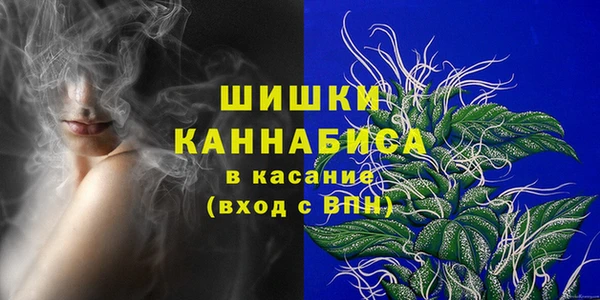 spice Аркадак