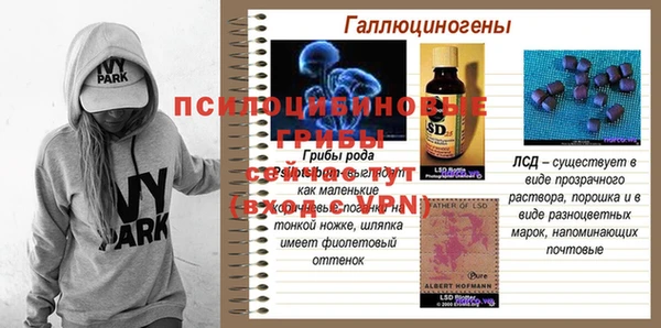 ГАЛЛЮЦИНОГЕННЫЕ ГРИБЫ Арсеньев